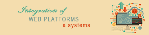 Integration of Web Systems