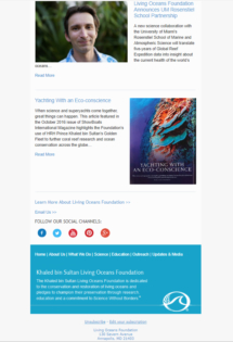 Newsletter Template (bottom)