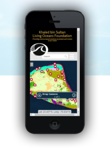 GIS Mapping App