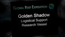 Research Vessel Video