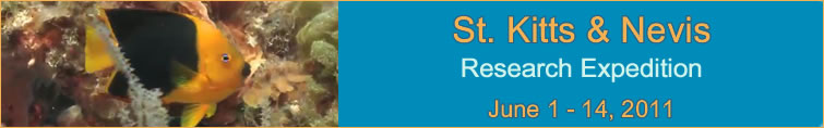 Slideshow Banner