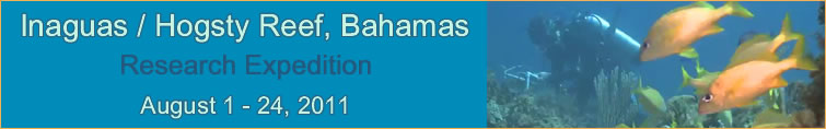 Slideshow Banner