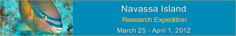 Slideshow Banner