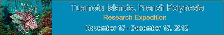 Slideshow Banner