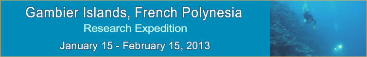 Slideshow Banner