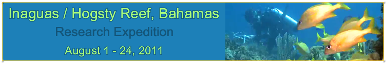 Slideshow Banner