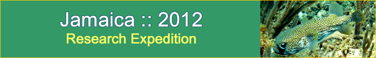 Slideshow Banner