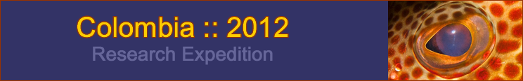 Slideshow Banner