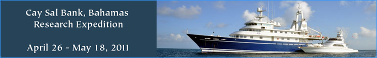 Slideshow Banner