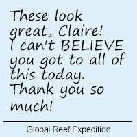 Client comment image 17