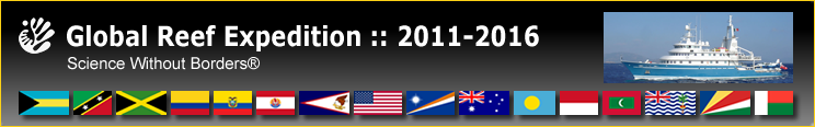 Slideshow Banner