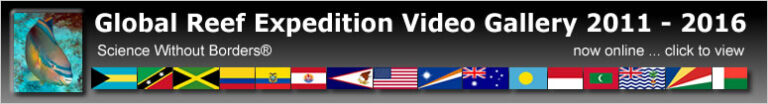 Slideshow Banner