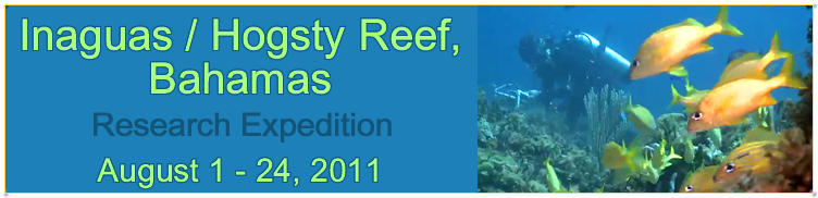 Slideshow Banner
