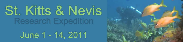 Slideshow Banner
