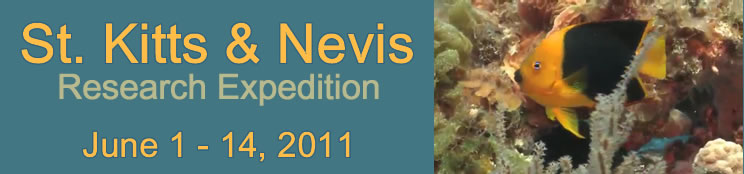 Slideshow Banner