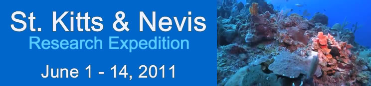 Slideshow Banner
